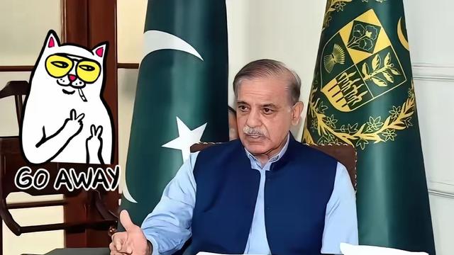 静雅赏兰香：巴基斯坦消息！  2026年