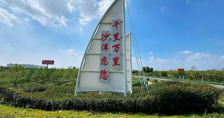 全国油菜籽加工第一强县，“江汉明珠，鱼米之乡”沙洋县