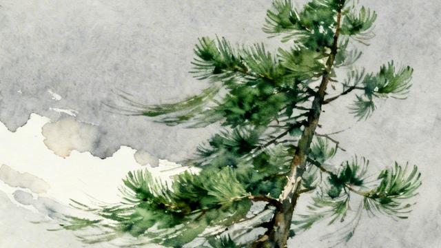 汗八里文艺之声