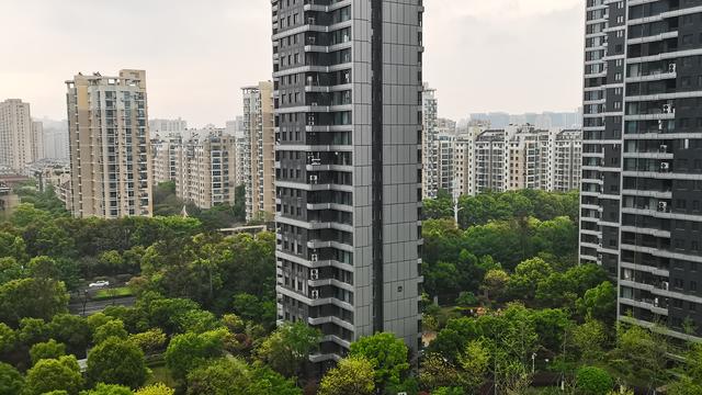 城东春天：大家都说当下要买房子的，都是买