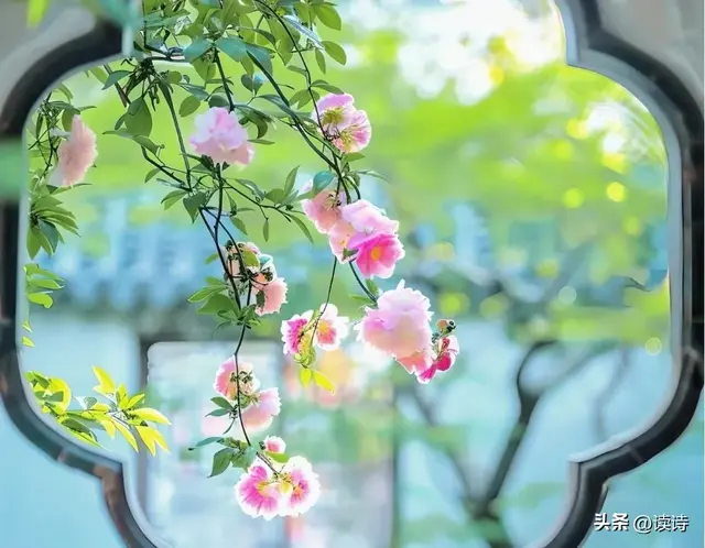 最大彻大悟的8大人生智慧名句，背下来让你读懂自己人生～