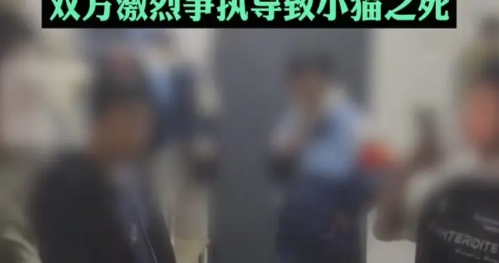 宿管人员摔死学生的小猫，说是猫主人同意的，校方通报