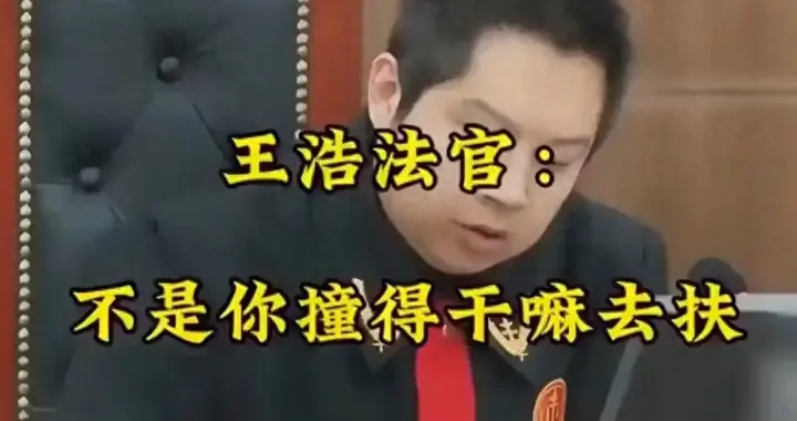 当年说出“不是你撞的 , 干嘛去扶”的法官 , 20年后的今天 , 咋样了？
