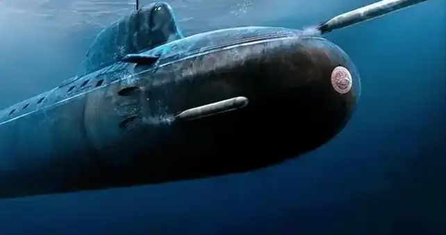 终于来啦！004尚未亮相，最强护卫前来报到。