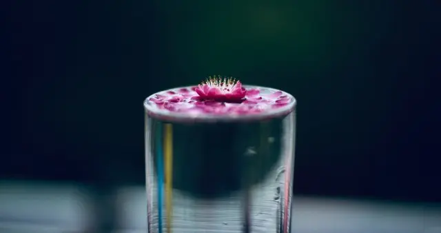 一念花开，一念花落！