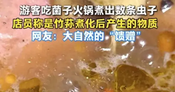 游客云南吃菌子火锅时发现多条虫子，网友调侃称这是大自然馈赠的“高蛋白”