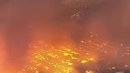 家家户户皆平安：你这辈子可能都没见过这么