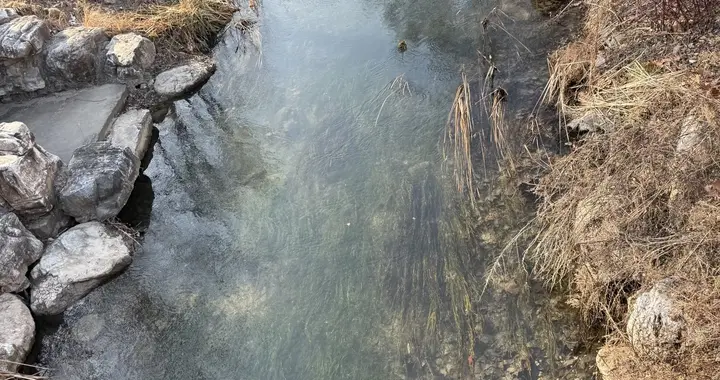 养老选股稳字当头！吃透这几招，跟着舅舅学稳健布局不踩坑