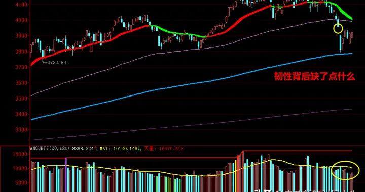 致命环节缺失，韧性的持续核心