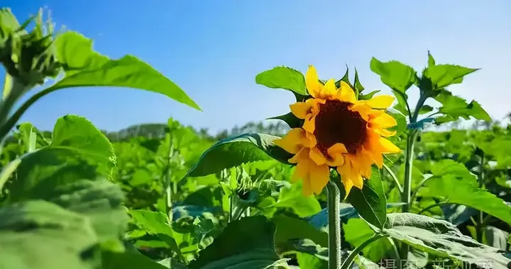 【机会&希望】HappyPlanet创世计划：给每个人的机会与希望