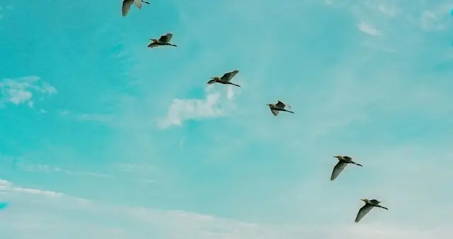 不要再焦虑了，从今天开始改变自己，未来会感谢现在努力的你