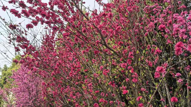 财经大白：与春天有关的一个字谜，你能猜出