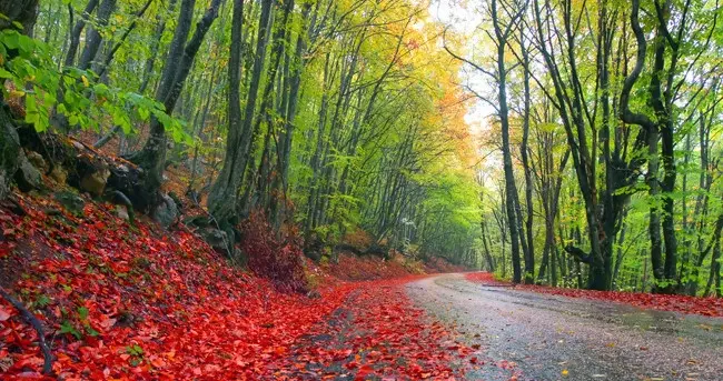 50岁后越活越年轻？36条“绝情”养生法，多数人第一条就做不到