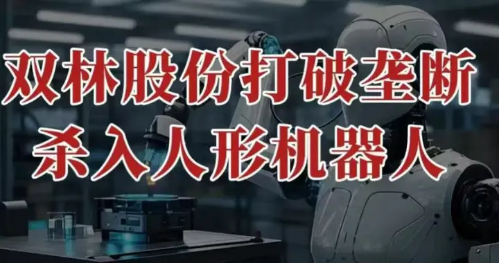 打破垄断，双林股份，杀入人形机器人！