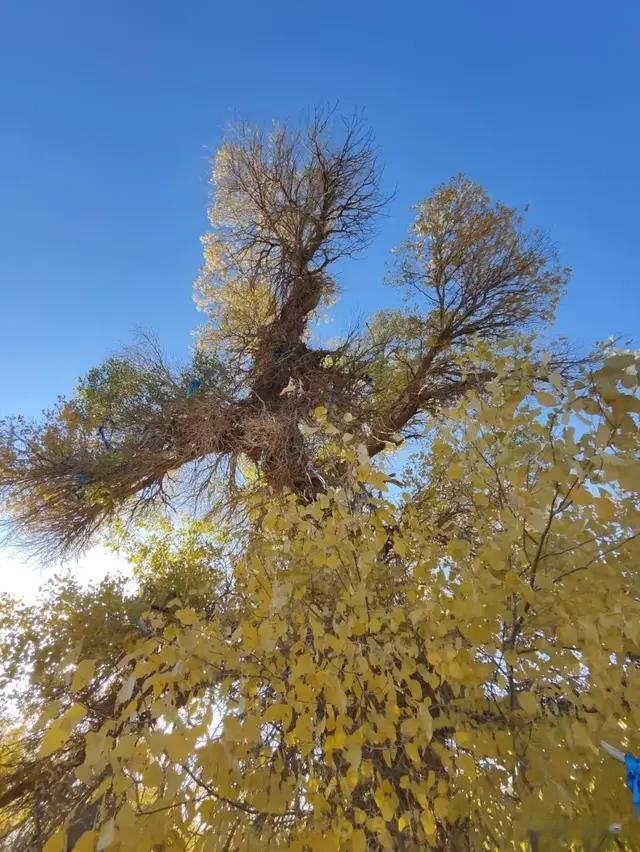 拿那么高的薪酬，还是欲壑难填，实在是可恼可气啊