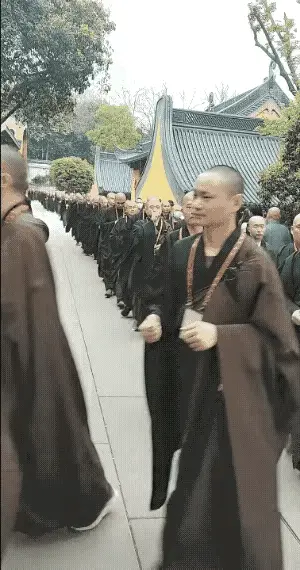 认真喵：一眼望去整支队伍气场凌厉逼人