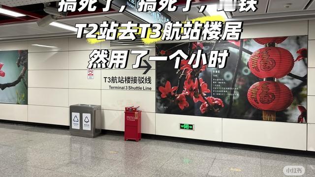 浙江巡府2002：去机场T3航站楼一定要