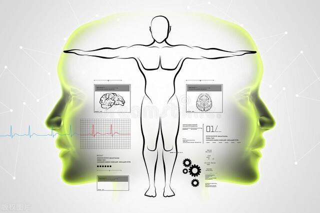 春节吃撑了？营养师私藏的"清肠黄金期"调理法，简单有效！