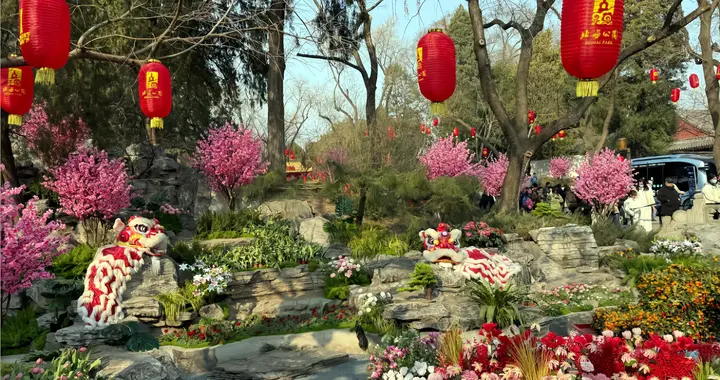 50岁大姐交14年养老险：最后一年选8000 档 VS 200档，差距太明显