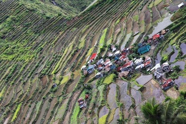 新一轮土地承包集中开启！严控调地规模，5类情况可重新分到地