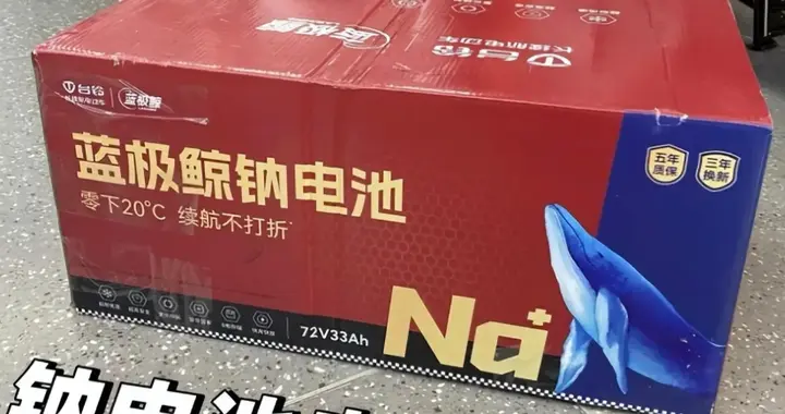 零下20度不掉电！钠电池这么强，为啥电动车厂家很少有用钠电的？