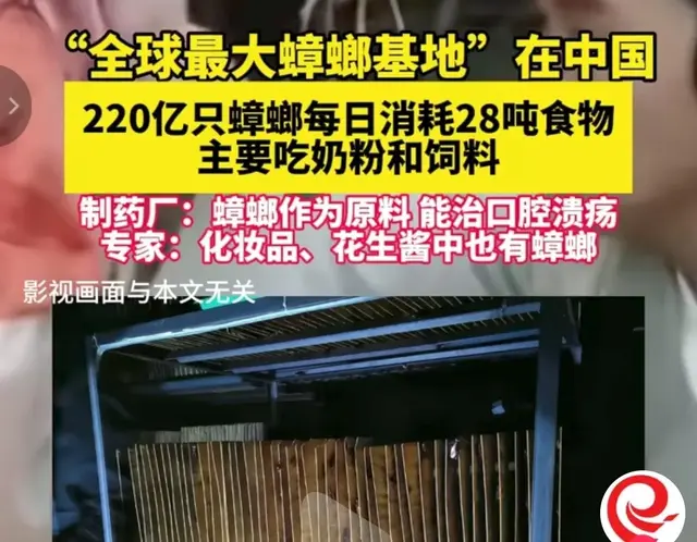 为何蟑螂都实现了奶粉自由，千万人还在温饱线挣扎？