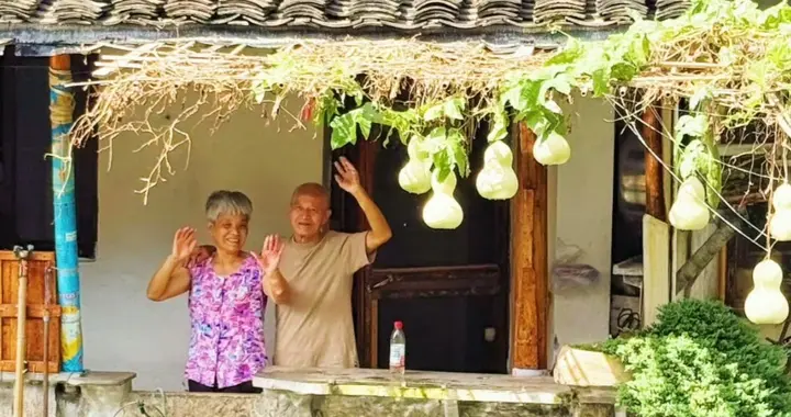果然，流量时代、一群疯子，葫芦都没见过吗？
