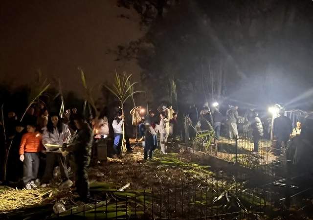 低估了人性！四川“偷甘蔗”爆火，一根卖9.9还亏本，有人不给钱