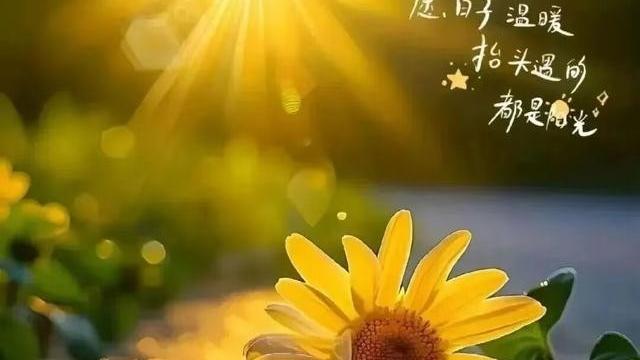 嘉琪历史达人：一位经济学家非常有道理的话