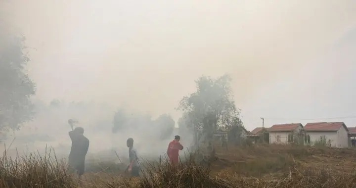 报告显示：9月份印尼山火产生的烟雾导致3500多人死亡