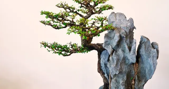 鬼谷子智慧大揭秘！掌握它，助你在人生战场轻松“胜天下”！