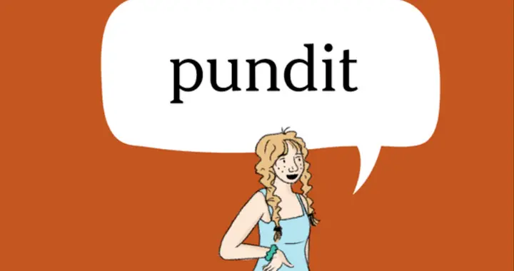 纽约时报高频词：pundit