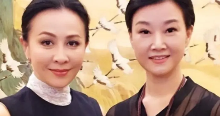 身价上亿，却因10万元将保姆送进监狱，59岁宋祖英现况如何？