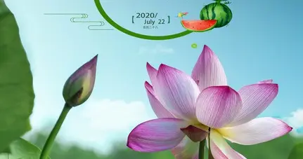 夏日织线：做好自己，自在生长