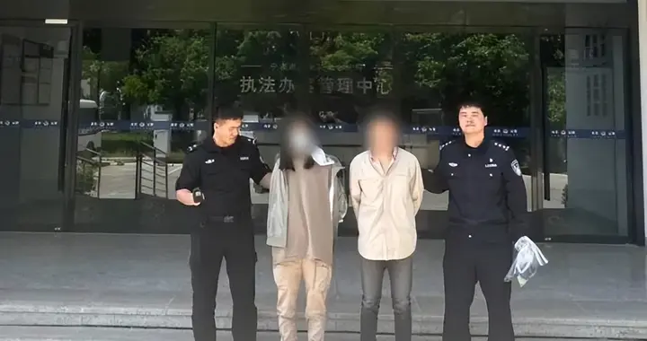 野外仅存600多只！浙江4人徒手抓26只，价值10多万