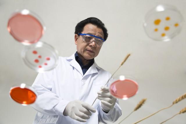 牙齿再生：未来的无限可能