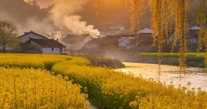 夕阳染江南，油菜花开满地黄，这才是人间最美的春日画卷