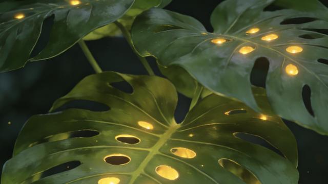 阳无谋：一位老江湖说： “发现没有，为什