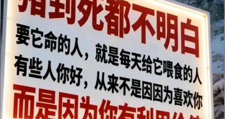 有些人对你好，从来不是因为喜欢你，而是因为你有利用价值！！
