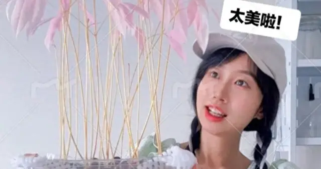 吃剩的荔枝核别丢，我养出了同事都在要链接的粉叶小盆栽