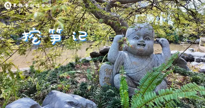 笋尖上的修行时光