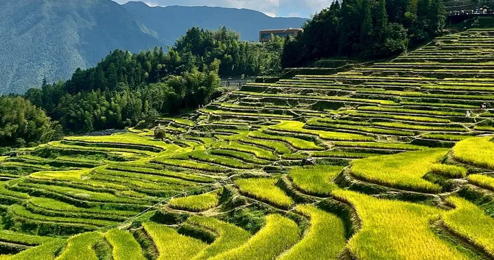 3天2夜玩转云和梯田！从日出到星空，这篇攻略让你少走90%弯路。