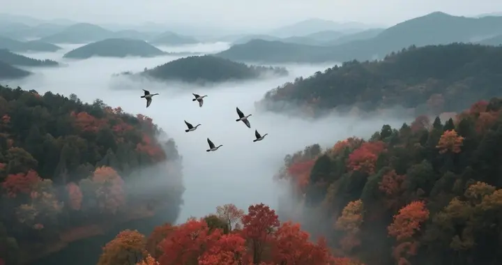 再赏南唐李煜的《长相思》，菊花落，枫叶丹，人未还