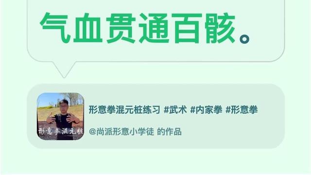 形意拳张金涛：我评论了