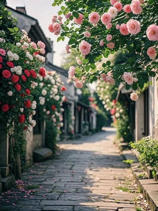 适合早上发的干净又治愈的朋友圈文案