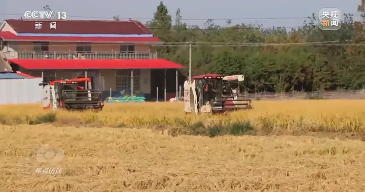 《焦点访谈》曝光“纸上种田”，评论区却一边倒挺基层干部