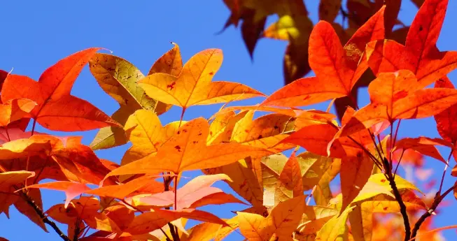 太好了！乳腺癌患者复查出现这4种信号，说明病情真的在好转！