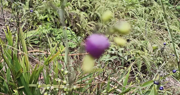 无意和儿子聊天，儿子的话感动了我