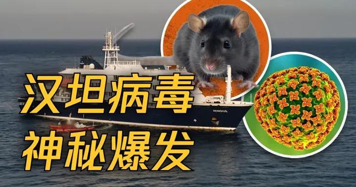 汉坦病毒零号地要反转？荷兰观鸟夫妇沉冤得雪，游轮疫情隐藏秘密