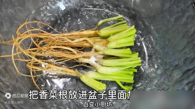 香菜根被说能助眠？真相到底有多香？